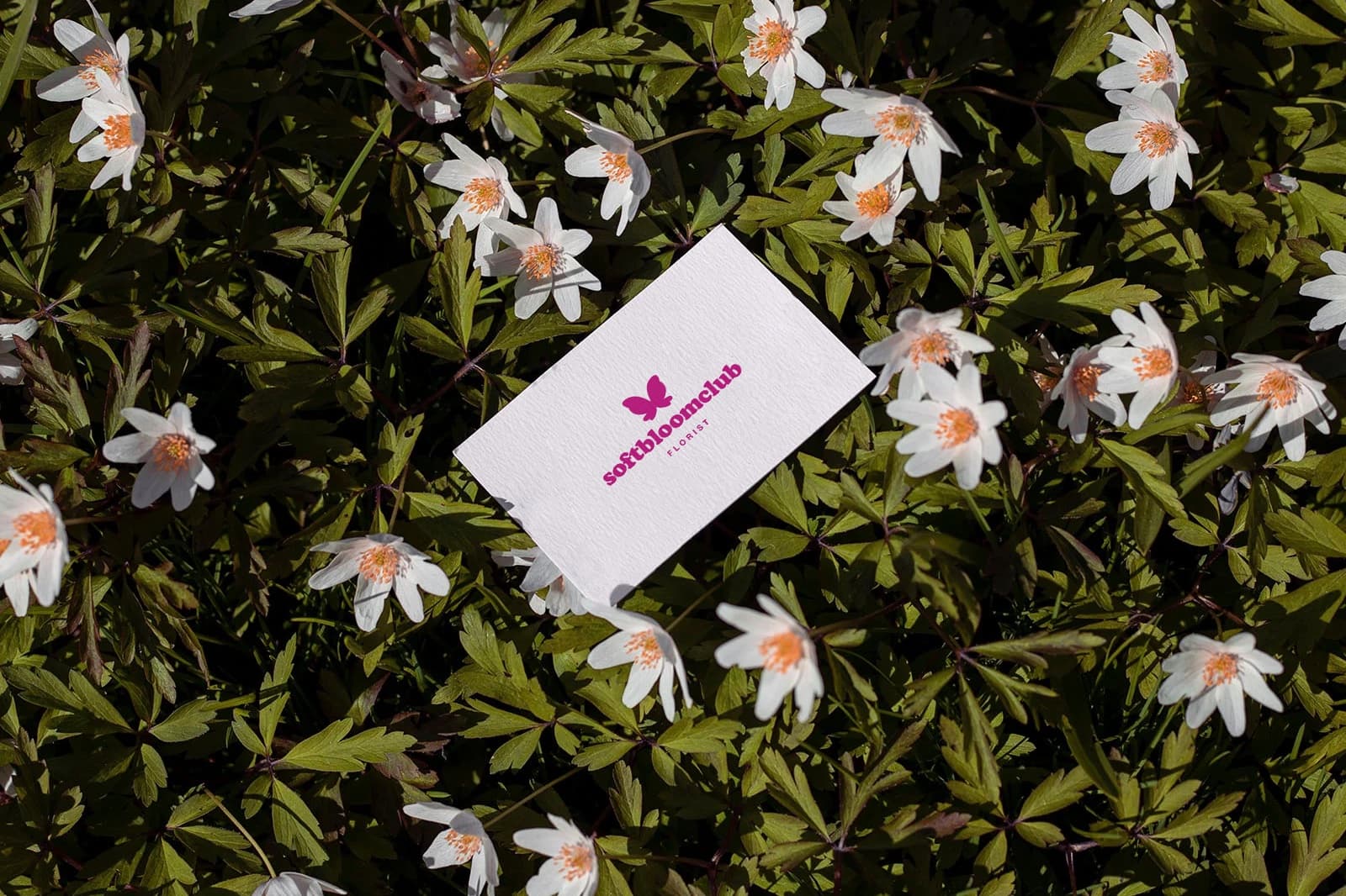 Softbloomclub Florist