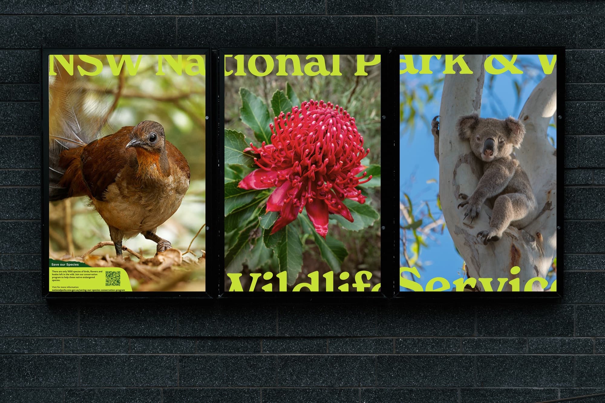 NSW National Park & Wildlife Service